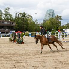 Basler Pferdesporttage 2022